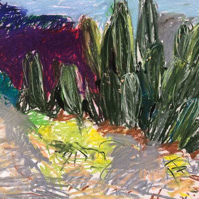 "Cactusfeld violet" · A3 · Pastell · 2020