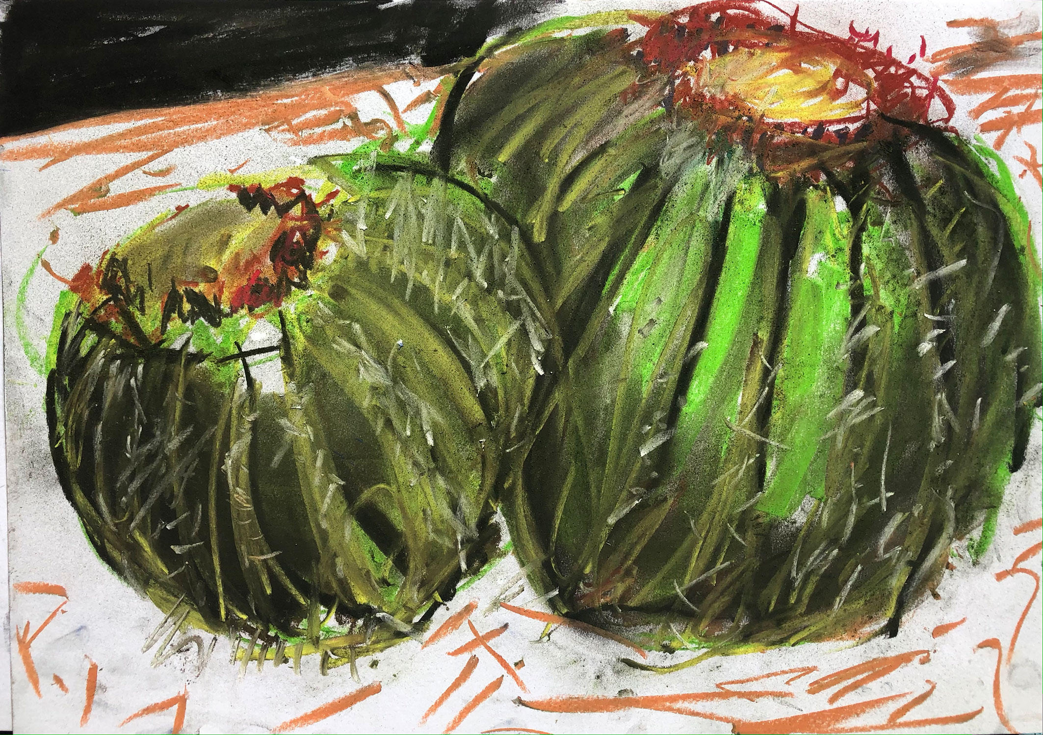 "Cactus verde" · A3 · Pastell · 2020