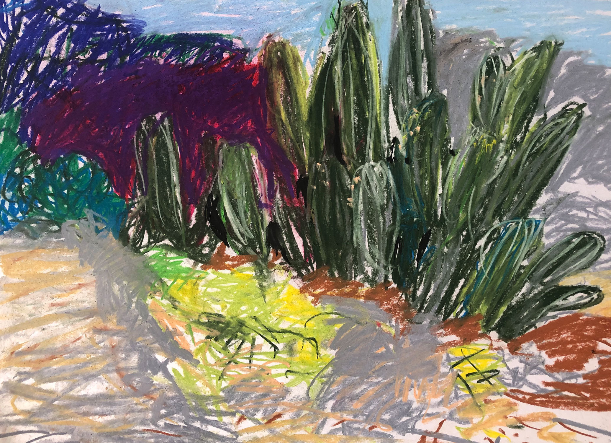 "Cactusfeld violet" · A3 · Pastell · 2020