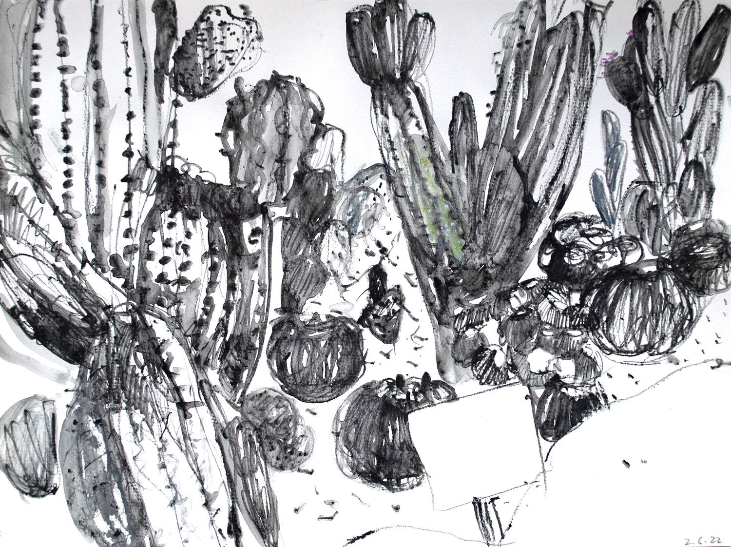 "Skizze aus Botanicactusgarden s/w" · A2 · Watercolour pencil · 2022