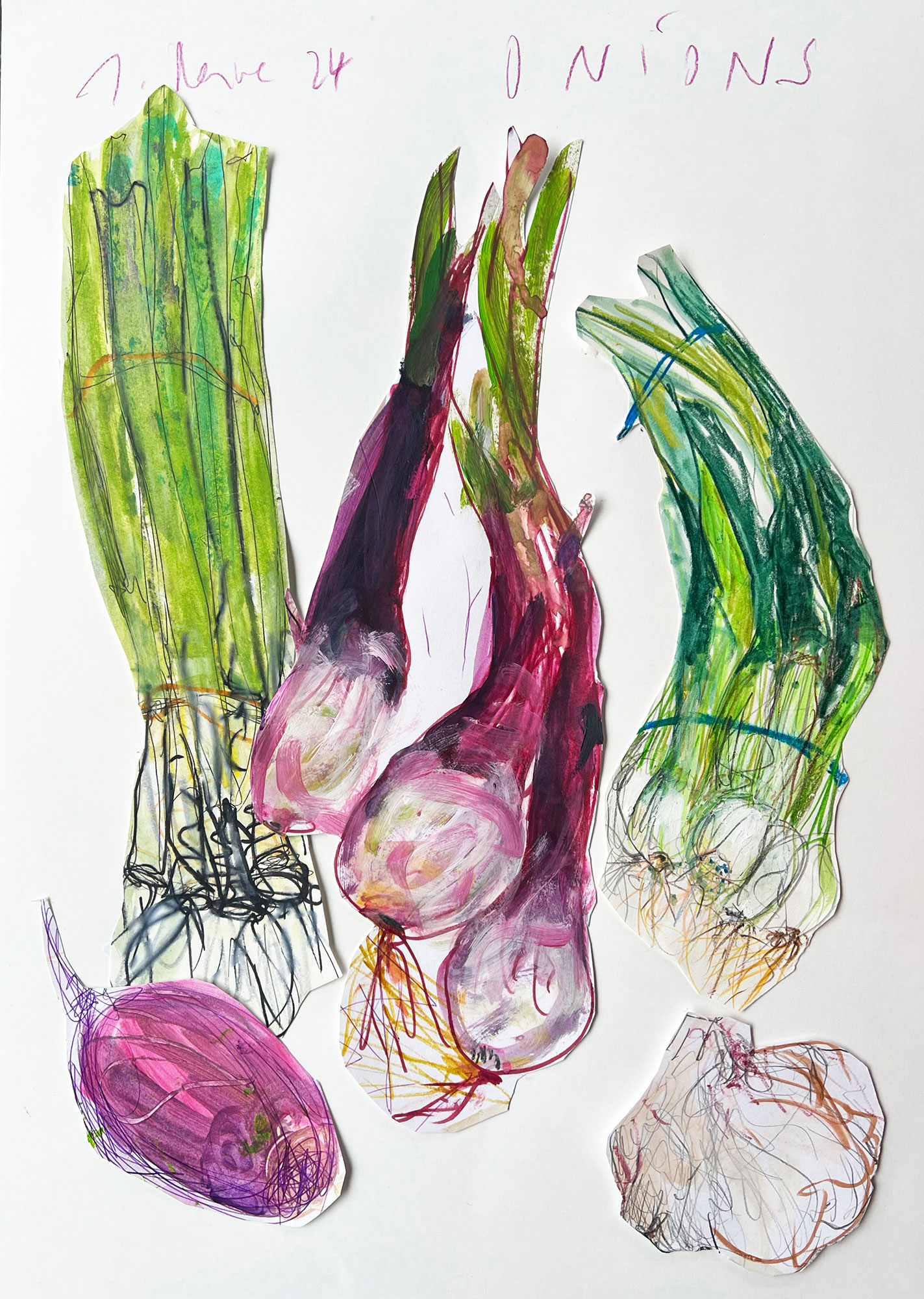 Vegetable drawing paper collage on A2 portrait format